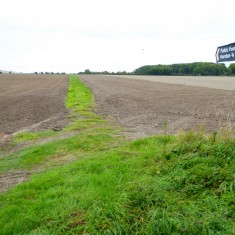Footpath going south-west towards the Drift | (Roadley)