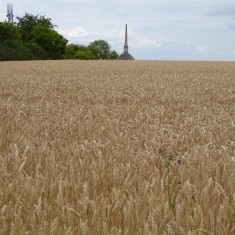 Maggot's Mount & Wale Monument 2015 | (Roadley)