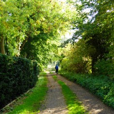 Entering The Drift track off the High St Oct 2015 | (Roadley)