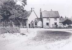 The White Swan