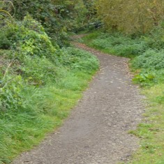 PZZA4 Oct 2015 view west to Burnt mill bridge along Bridleway No1 (Roadley)R View west to Burnt Mill Bridge along Bridleway No1 | (Roadley)