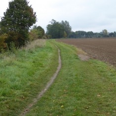 PZZA5 view east along Bridleway No 1 from junction with Footpath 2 (Roadley) R View east along Bridleway No 1 from junction with Footpath 2 | (Roadley)