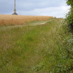 PZZA5.1 Footpath from Shelford Rd to the Wale monument R Footpath no 5 from Shelford Rd to the Wale monument | (Roadley)