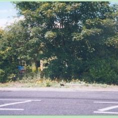 155 Green Man Lane from High Street. Same railings as those in Victoria Cottages, including gate once leading to rear of properties June 1999 (Deacon) Green Man Lane from High Street. Same railings as those in Victoria Cottages, including gate once leading to rear of properties June 1999 | (Deacon)