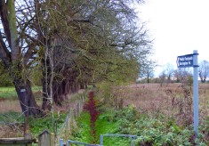 Haslingfield Road to Barrington