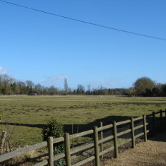 2015. Horse pasture, site of Park playing field. | (Griffin)