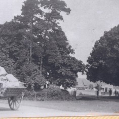 PRR 1 Cart passing Swan Green (Deacon) Cart carrying grain or flour passing Swan Green- from Mill, granary to Railway Station. | (Deacon)