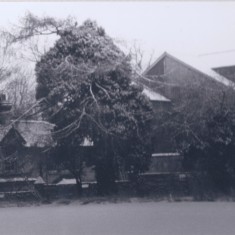 Harston Mill, mill house which once stood on mill site, was burnt to the ground | (Deacon)