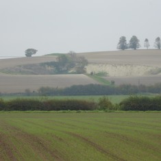Oct 2015 View east to old clunch pit on Rowley's Hill ( | (Roadley)
