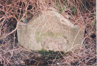 Button End artesian well point opposite Greystones | (Roadley)