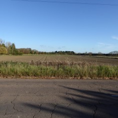 Pinder's land 2015 (Roadley) Pinder's land 2015 | (Roadley)