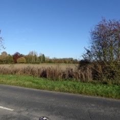 Pinder's land 2015 (Roadley) Pinder's land 2015 | (Roadley)