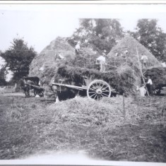PSR01.1 Carts used to move hay on Baggot Hall farm early scene (Deacon) Around 1900s. Carts used to move hay on Baggot Hall farm | (Deacon)