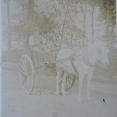 PZZP01 Joseph Wright or Owen Cambridge fishmonger refused to shut your gate if you didn't buy his fish (Sellen)R Early C20th. Joseph Wright or Owen Cambridge fishmonger refused to shut your gate if you didn't buy his fish | (Sellen-Cambridge Collection)