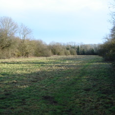 Meadow Conservation Area 2014  | (Griffin)