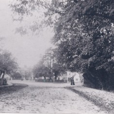 Swan Green 1900s | (Deacon)