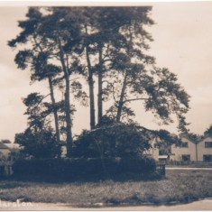 Swan Green post 1921 | (Deacon)
