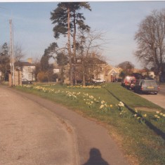 The Green 1993 | (Deacon)