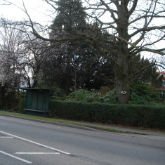 PZZF03.01 Bus Stop A10 Verge No 167 High St west 2015 (Griffin) Bus Stop A10 Verge No 167 High St west 2015 | (Griffin)