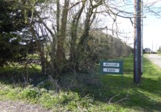 Willow Farm