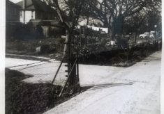 The Footpath houses