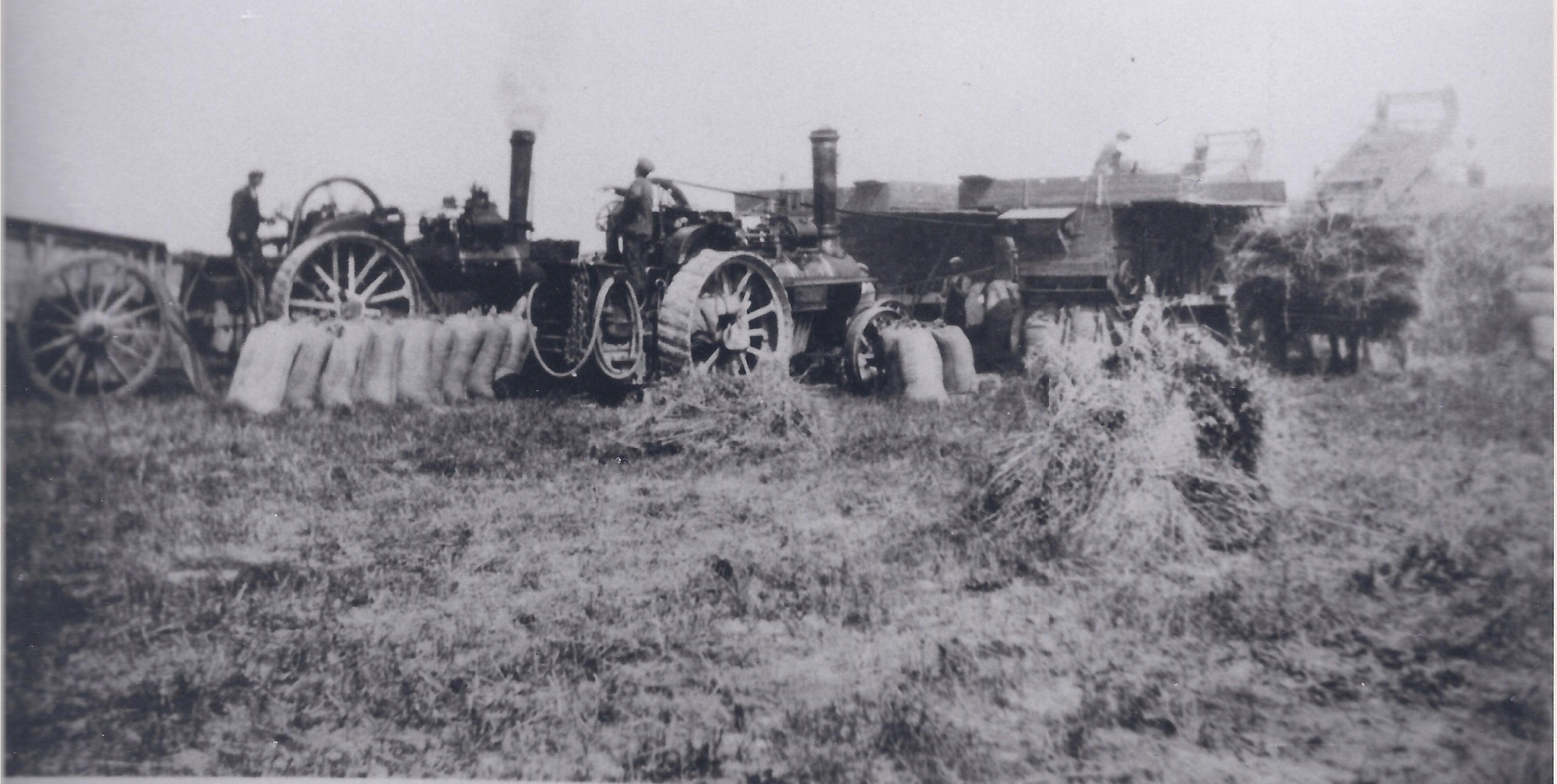 Threshing the corn harvest