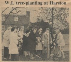 WI 'plant a tree in 73'