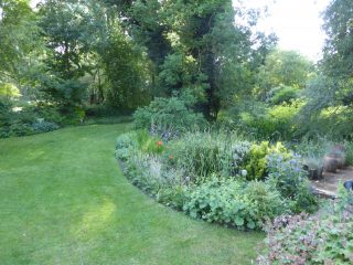 PBE00N.03 Kenterl back garden borders around natural pond june 2018 (Roadley)R Kenterl back garden borders around natural pond 2018