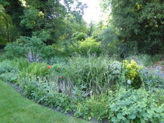 PBE00N.04 Kenrerl back garden borders june 2018 (Roadley)R Kenrerl back garden borders 2018 | (Roadley)