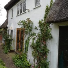 Bread oven on back of Hope Cottage May 2020  | (Roadley)