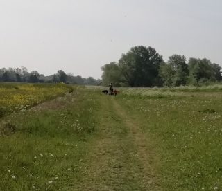 More walkers locally including this mother, child and dog May 2020 | (H Roadley)