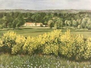 PZZECov.52 On Rowley's Hill (J Richardson) On Rowley's Hill | (J Richardson)