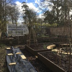 PZZECov.112 potager 1 Constructing the potager 2019 | (C Clarke)