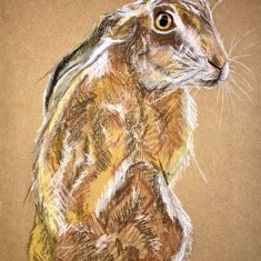 PZZECov.118 hare olivia clarke Hare seen locally | (Olivia Clarke)