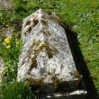 Gravestones - surnames beginning D - F