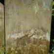 Gravestones - surnames beginning with T