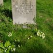 Gravestones - surnames beginning M - N