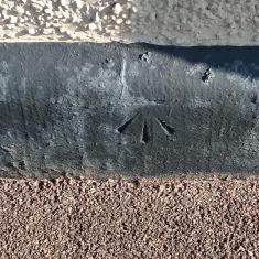 PHS002.19b BM Pemberton Arms Aug 2023 1 (Roadley) Bench mark at The Pemberton Arms | (Roadley)
