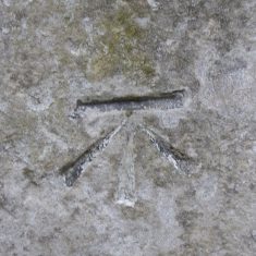 PZZM01.01c BM on milestone London Road 3 Dec 2016 (Roadley) Bench mark on milestone on London Road | (Roadley)