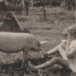 Wartime Self-sufficiency