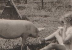 Wartime Self-sufficiency