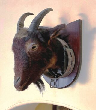 PZZPRod.08 Wilfrid Haylock. 3 Horseshoes Inn, Harston, 1920s 8 goat Wilfrid 3 Horseshoes Inn, Harston, 1920s | (W Rodwell)